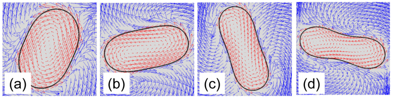 Fig.8